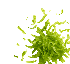 Twisted Classics Flower